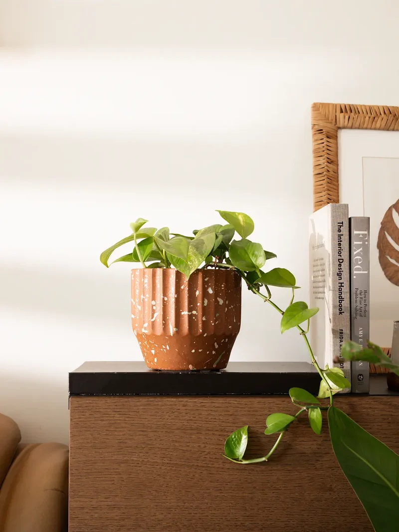 Marvellous Concrete Planter - Brown