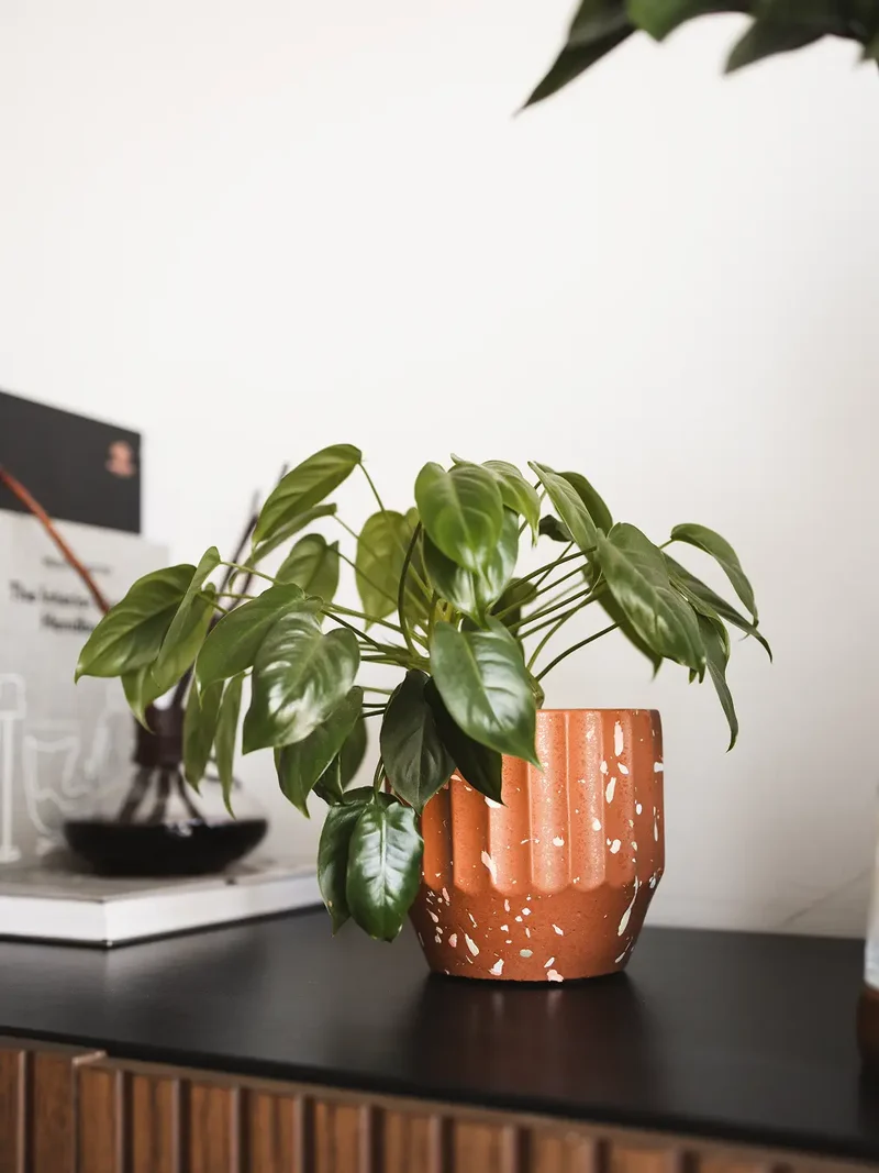 Marvellous Concrete Planter - Brown