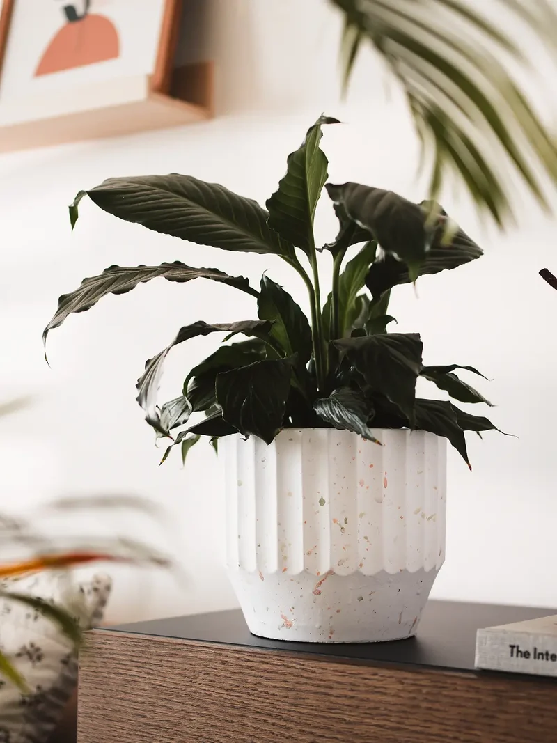 Marvellous Concrete Planter - White