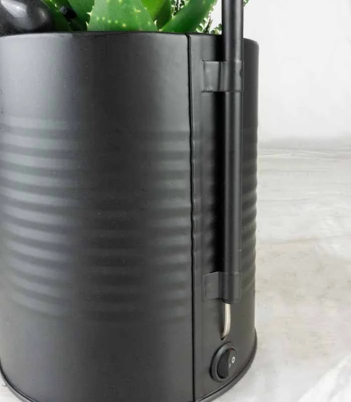 Succulente con lampada di design Nero