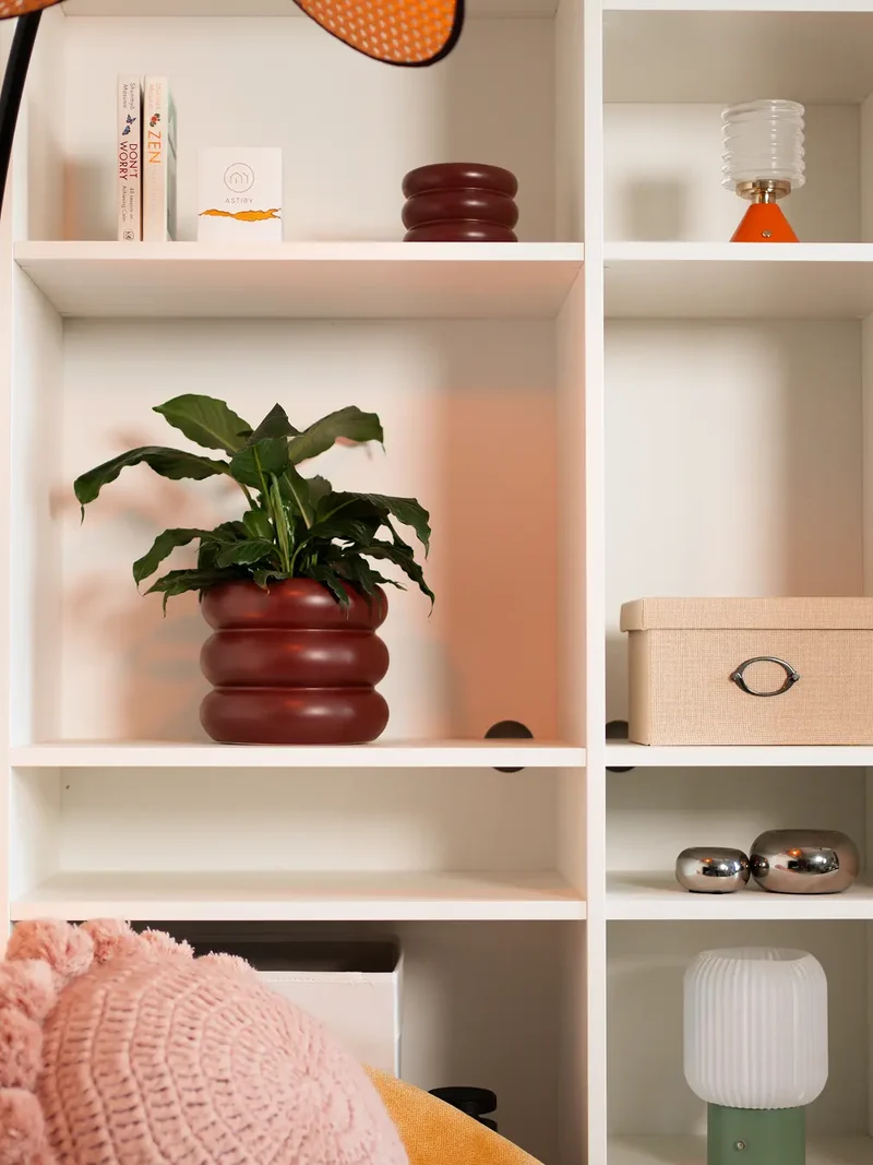 Orbit Ceramic Planter - Maroon