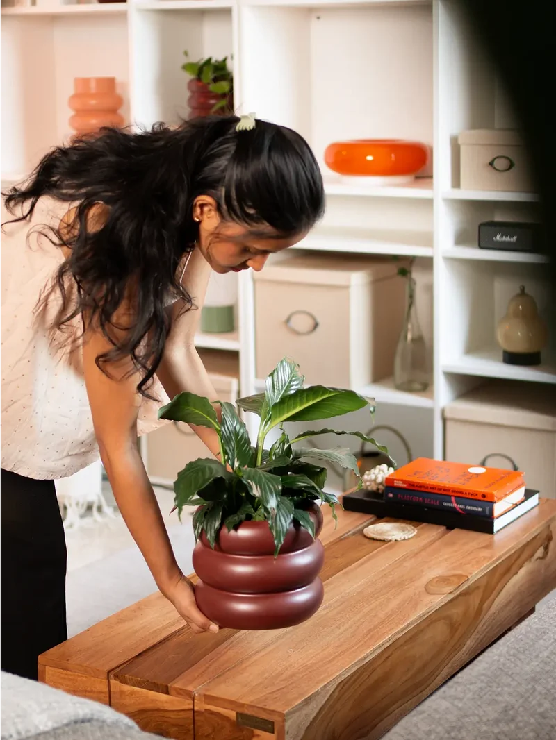 Orbit Ceramic Planter - Maroon