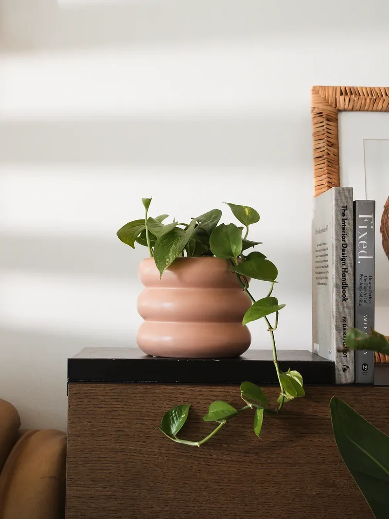 Orbit Ceramic Planter - Peach