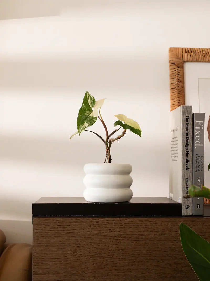 Orbit Ceramic Planter - White