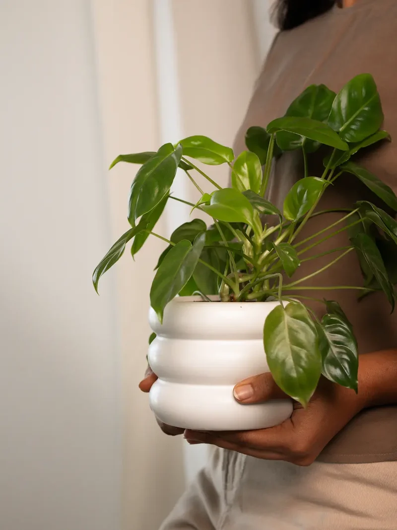 Orbit Ceramic Planter - White
