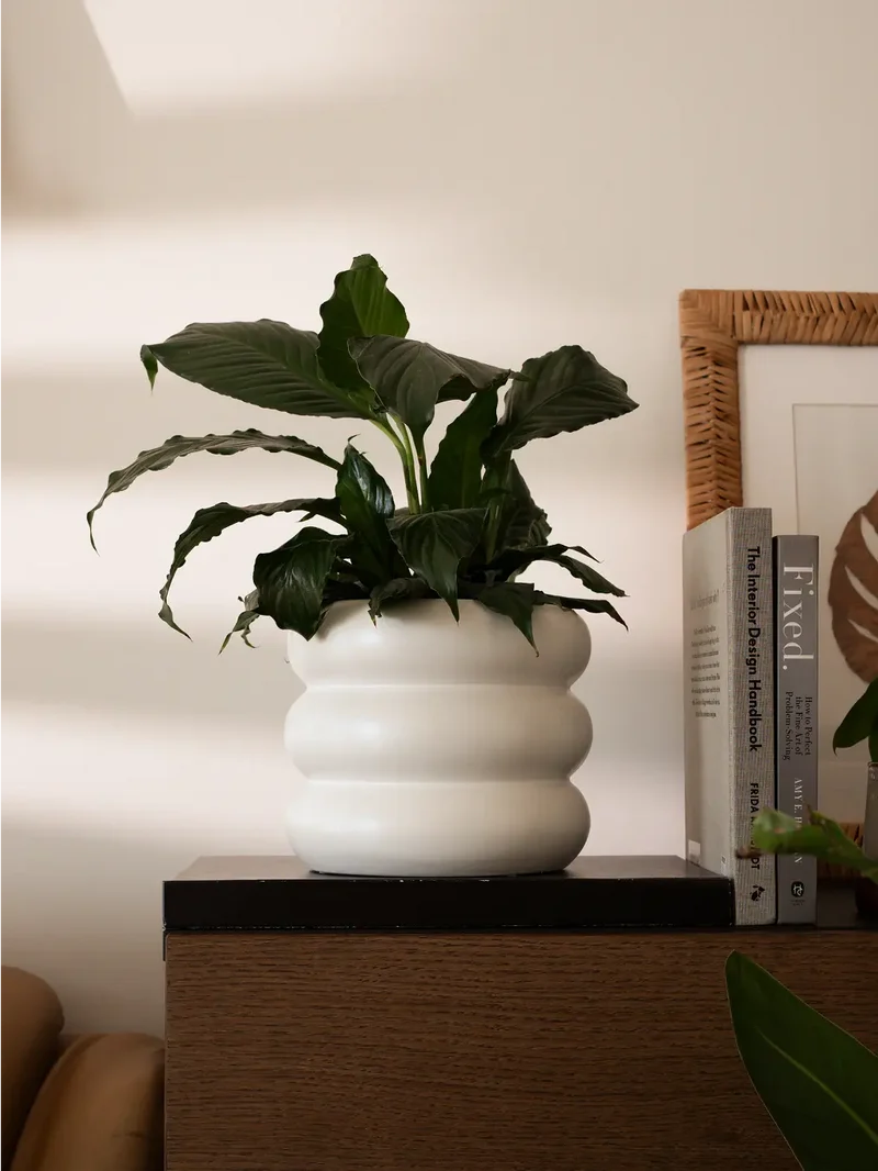 Orbit Ceramic Planter - White