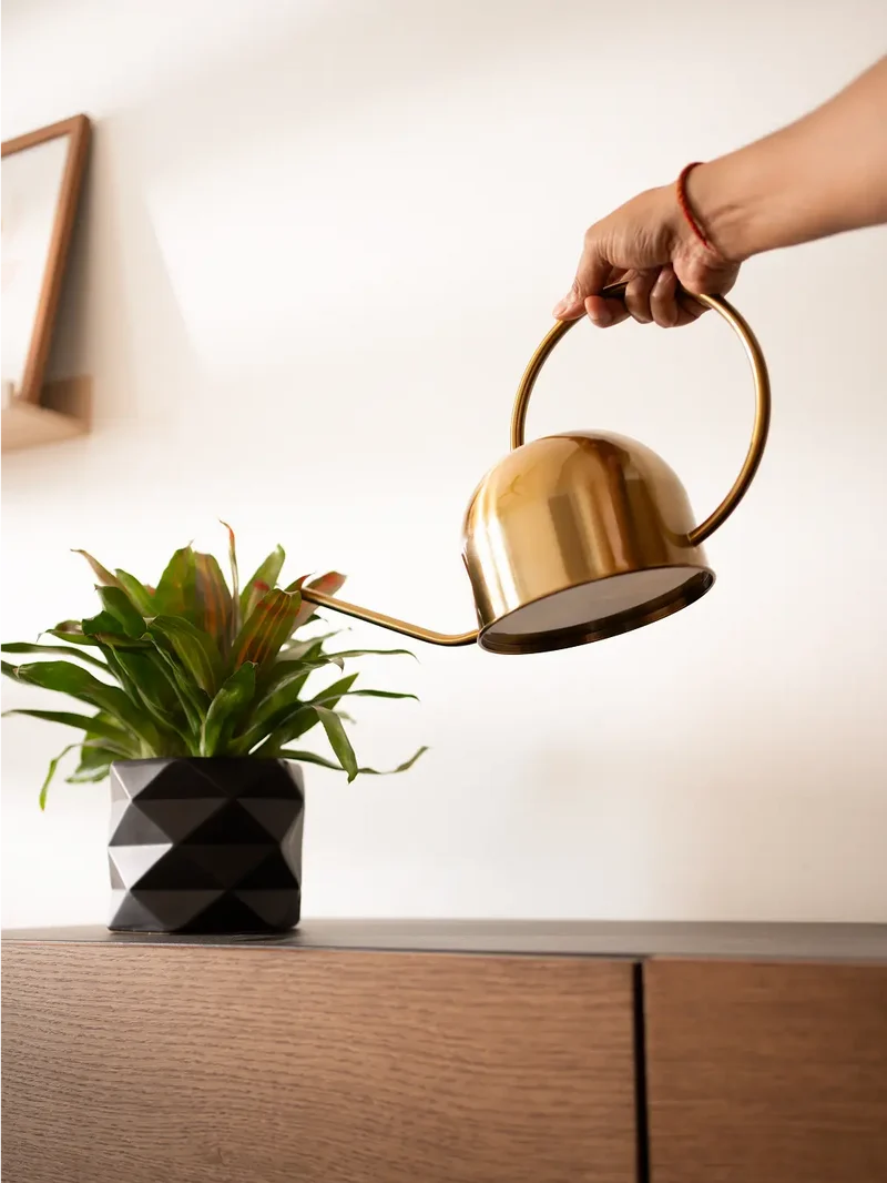Nozzle Stainless Steel Watering Can