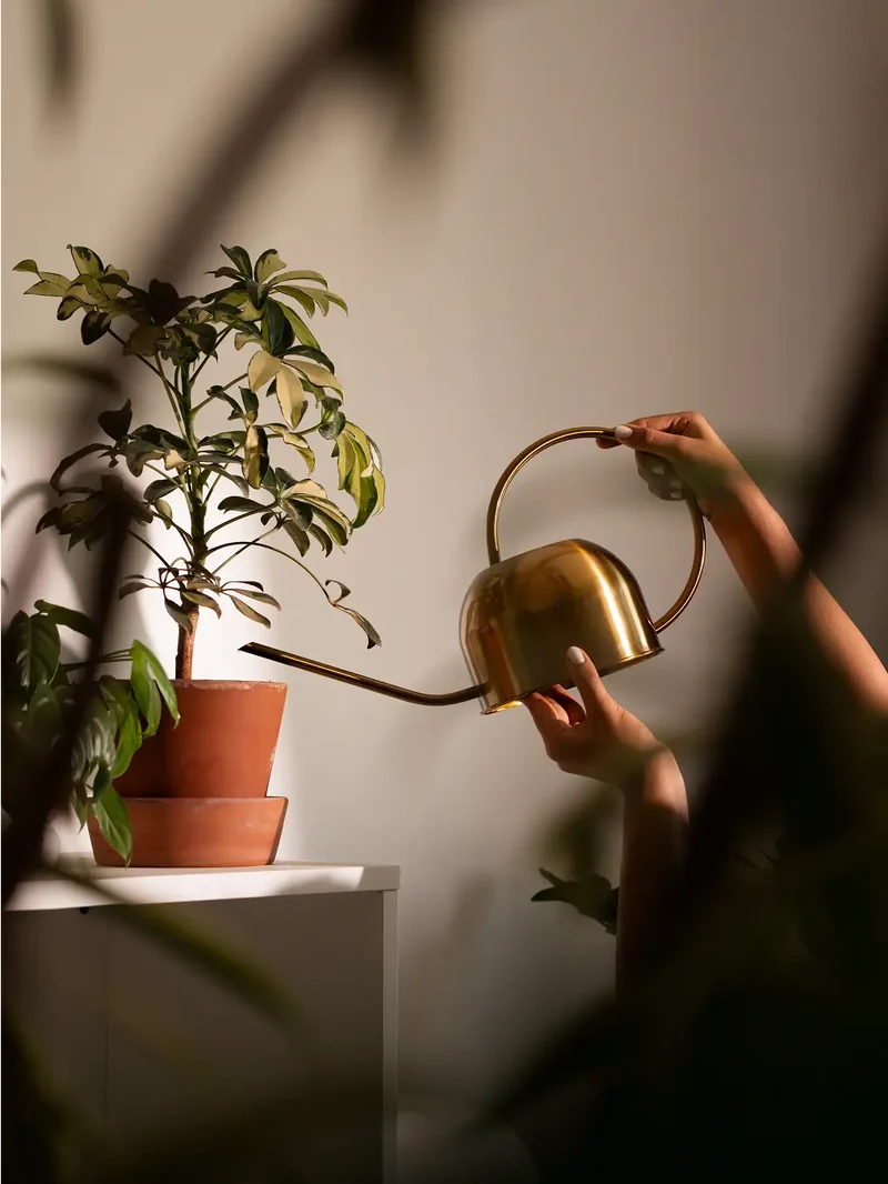 Nozzle Stainless Steel Watering Can