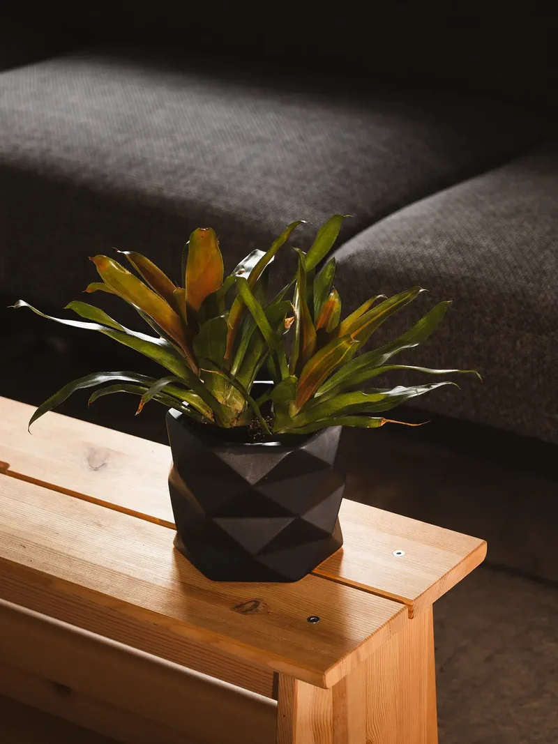 Diamond Ceramic Planter