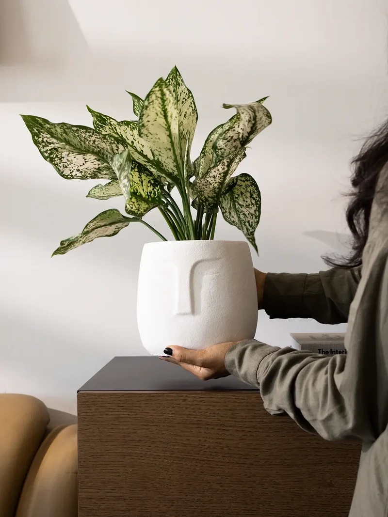 Face Concrete Planter - White