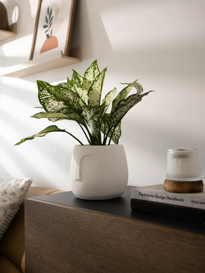 Face Concrete Planter - White