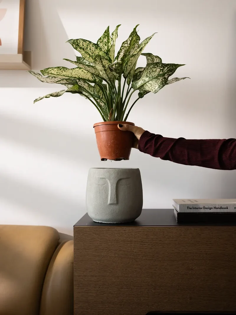 Face Concrete Planter - Grey