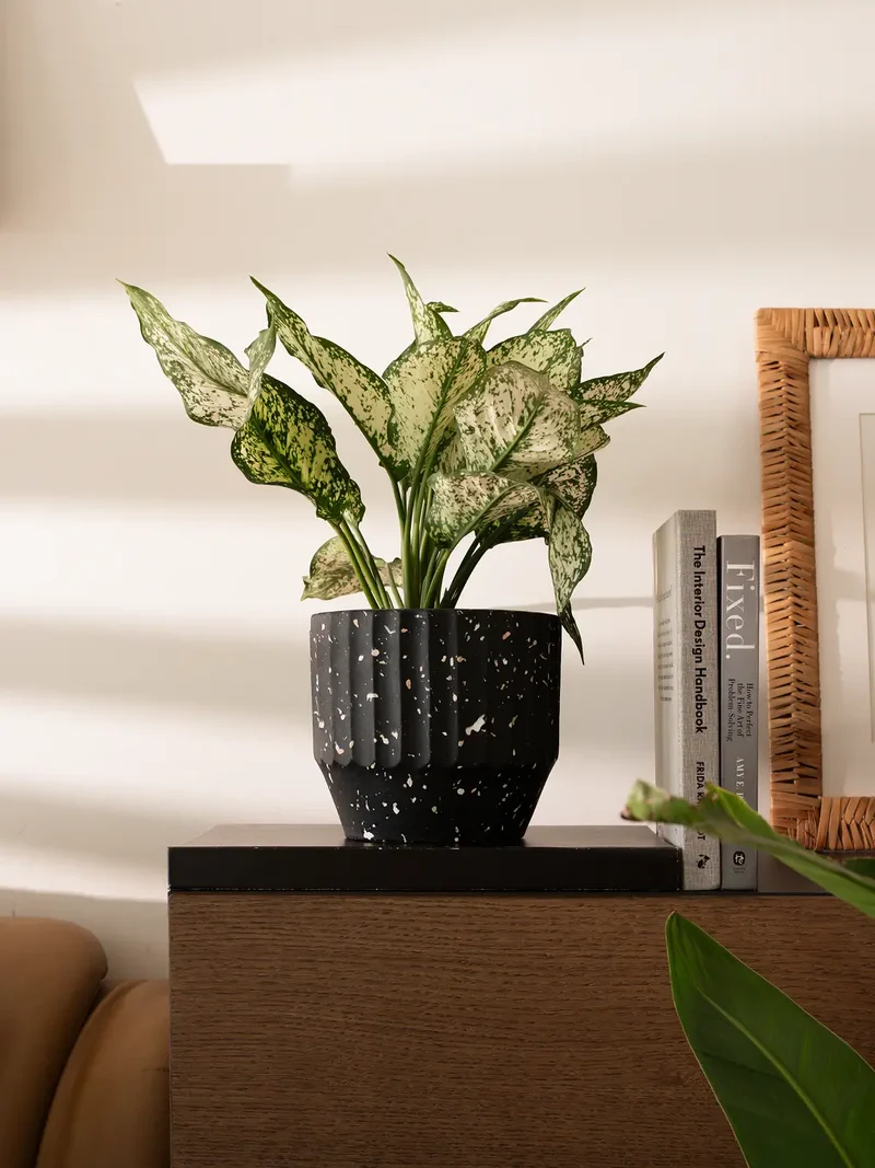 Marvellous Concrete Planter - Black