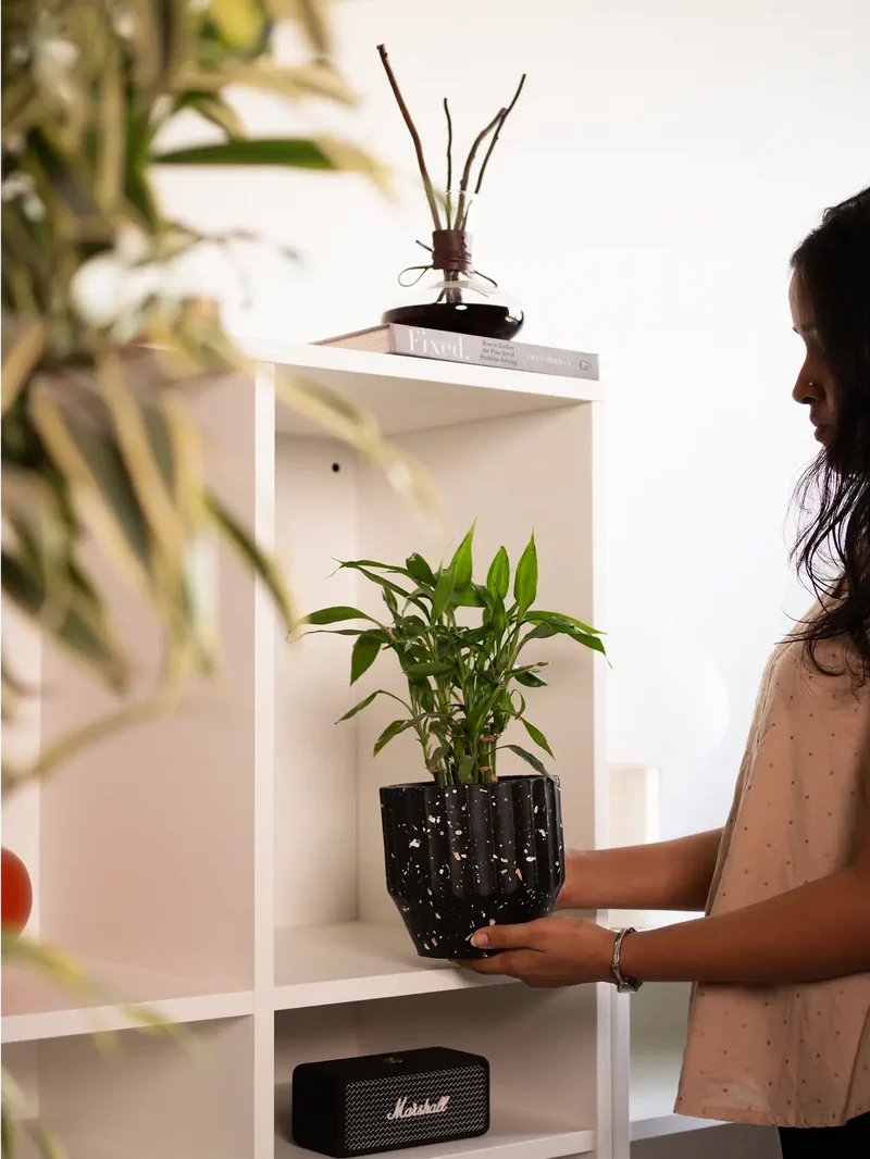 Marvellous Concrete Planter - Black