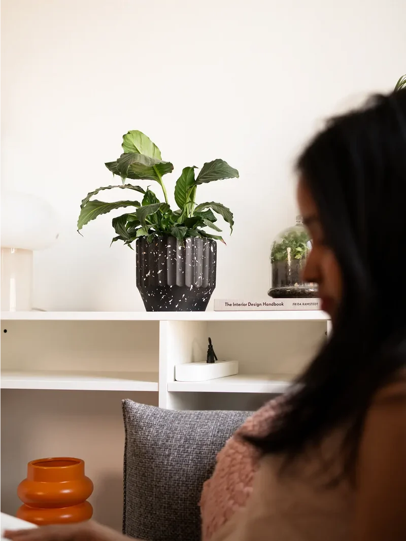 Marvellous Concrete Planter - Black