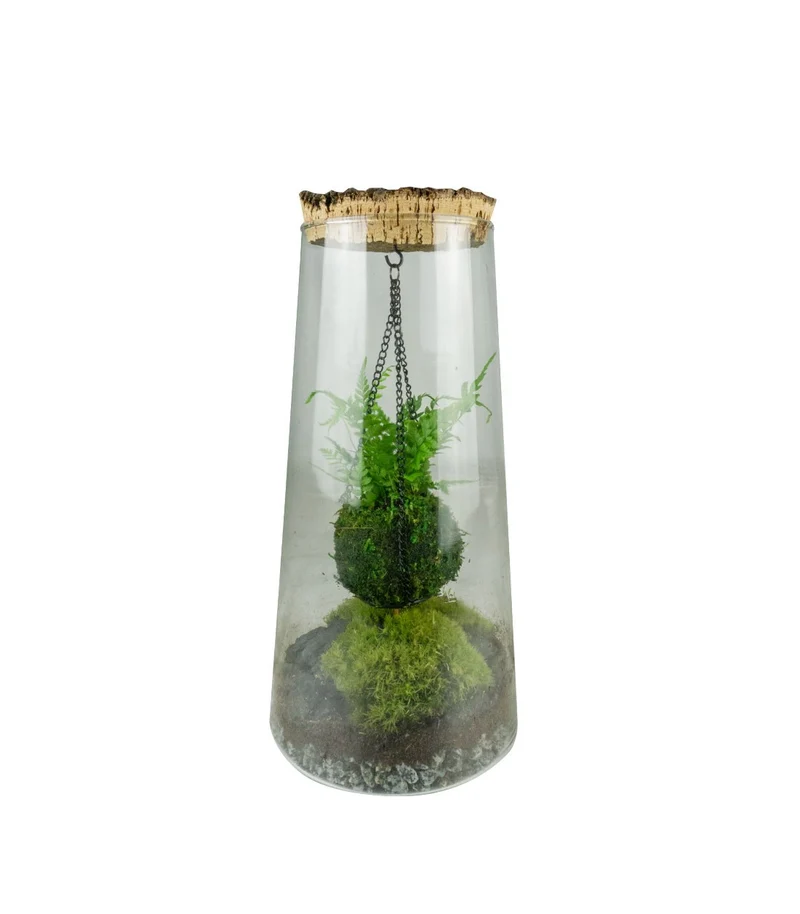 Kokedama in terrario