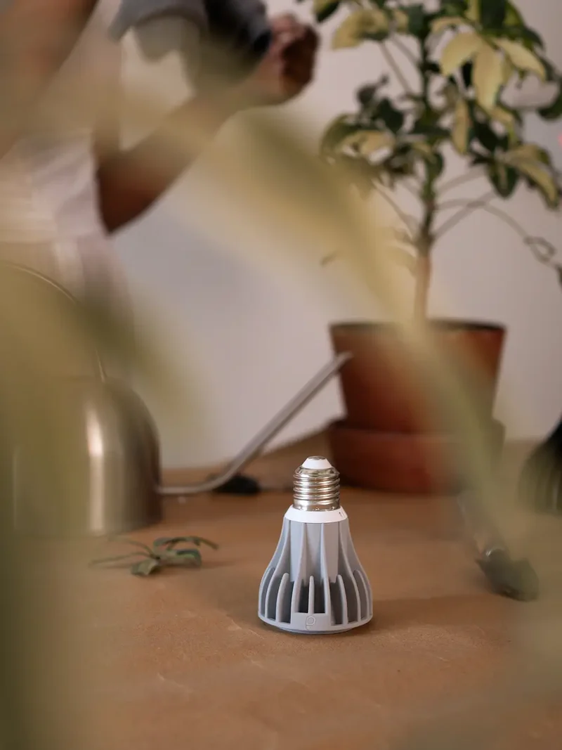 Blaze 12W LED Grow Light - Grey
