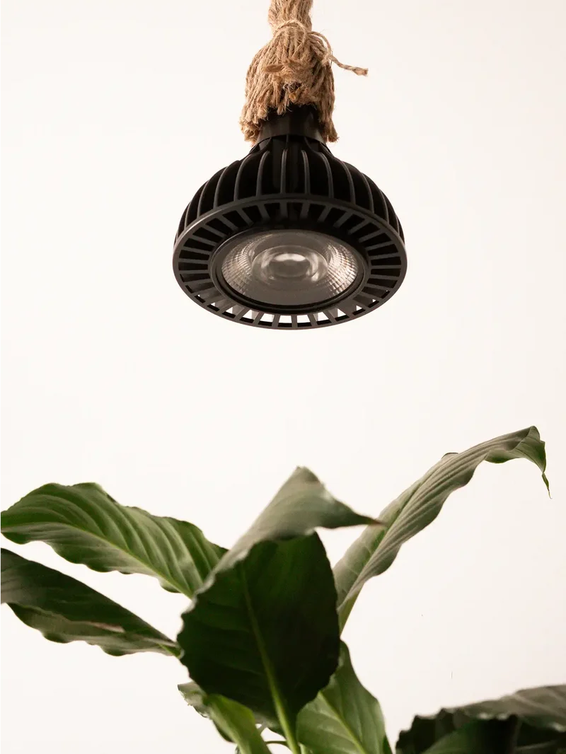 Blaze 40W LED Grow Light - Black