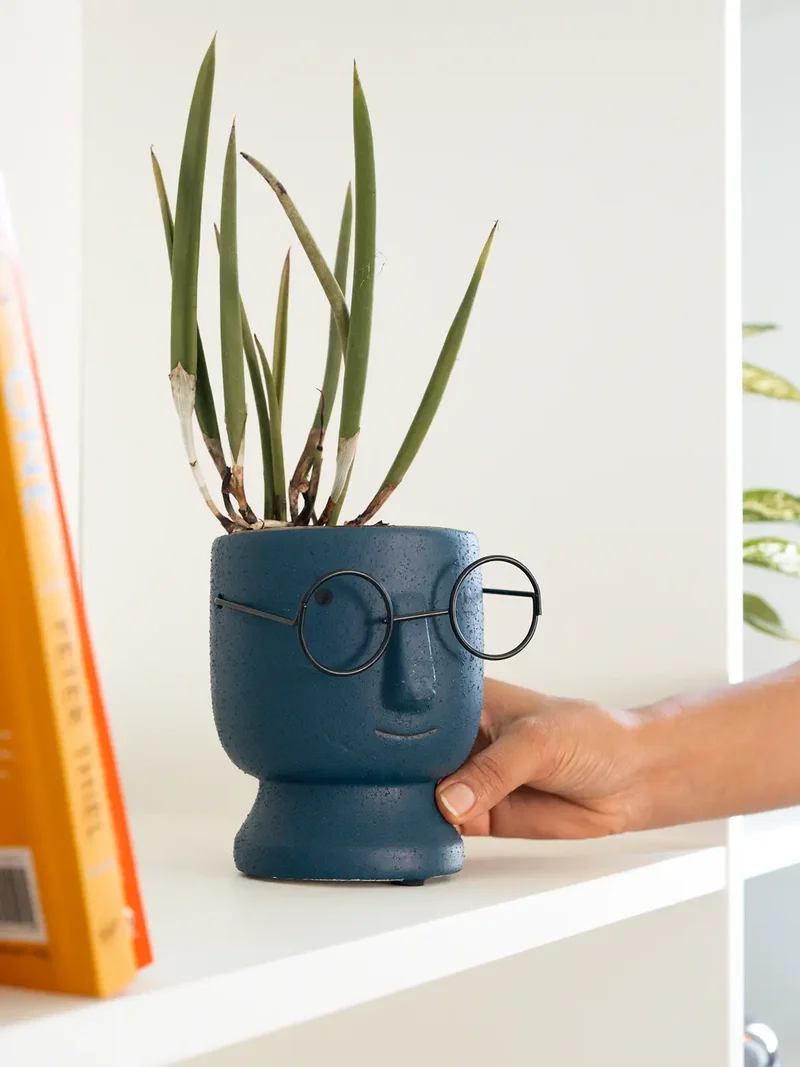 Jojo Blue Ceramic Planter