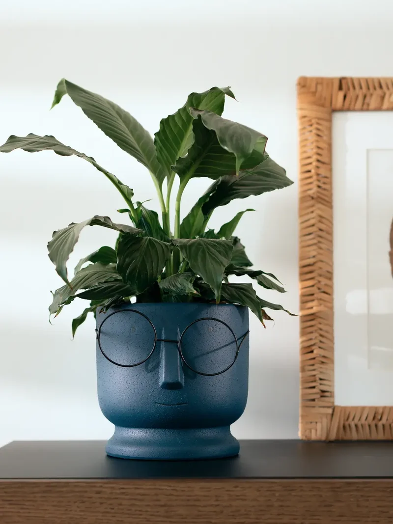Jojo Blue Ceramic Planter