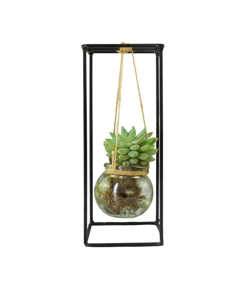 Composizione Succulente in vetro appeso