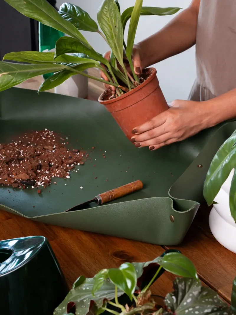 Solum Olive Potting Mat