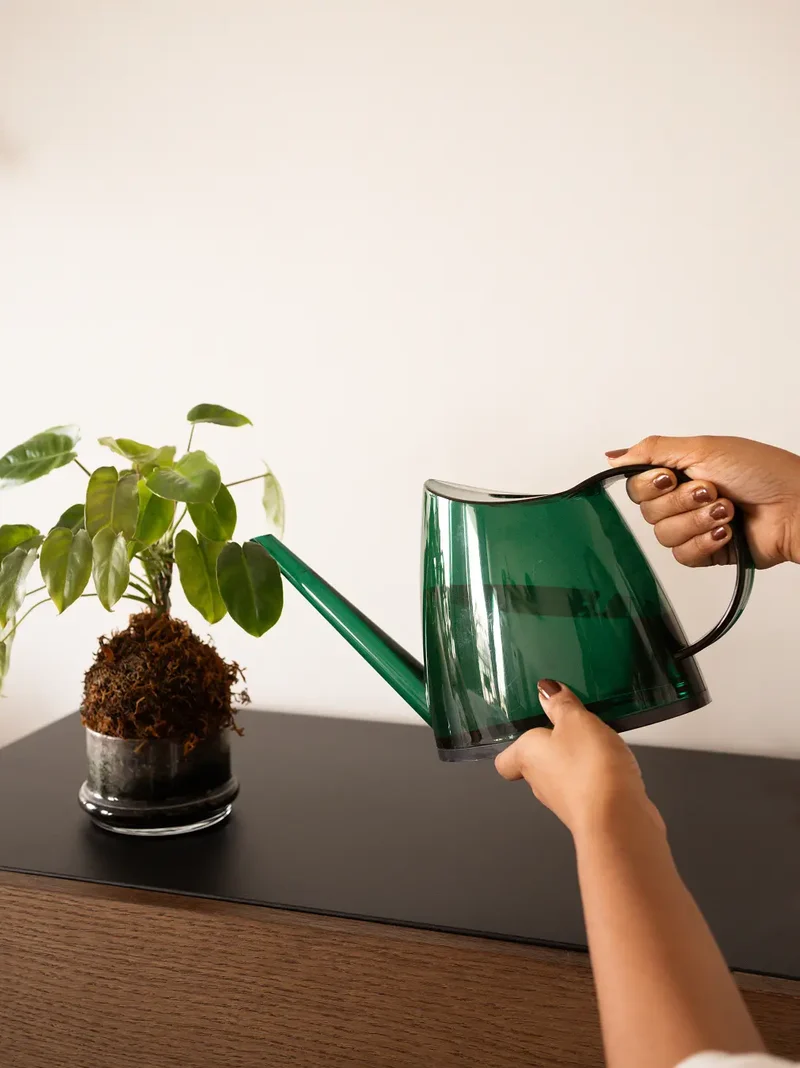 Willow Watering Can