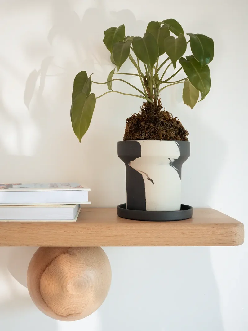 Dune Ceramic Planter - White and Black
