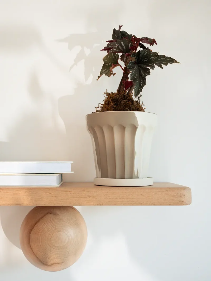 Raya Ceramic Planter