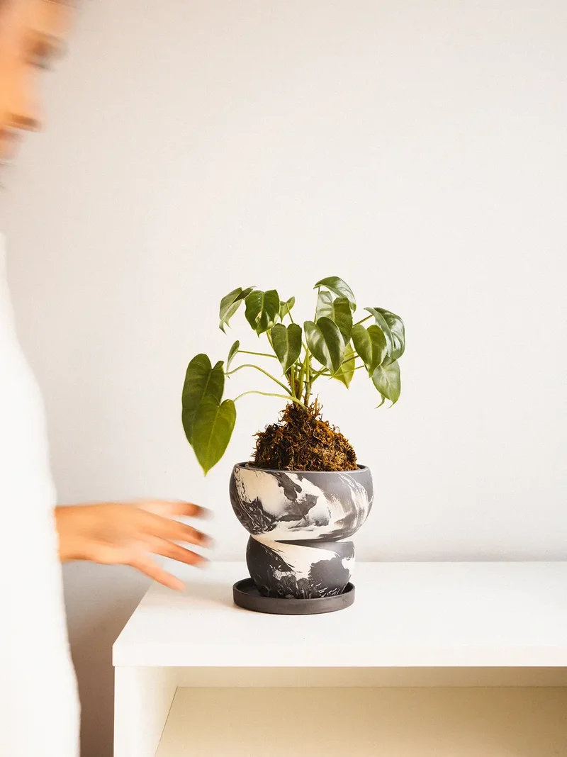 Eclipse Ceramic Planter