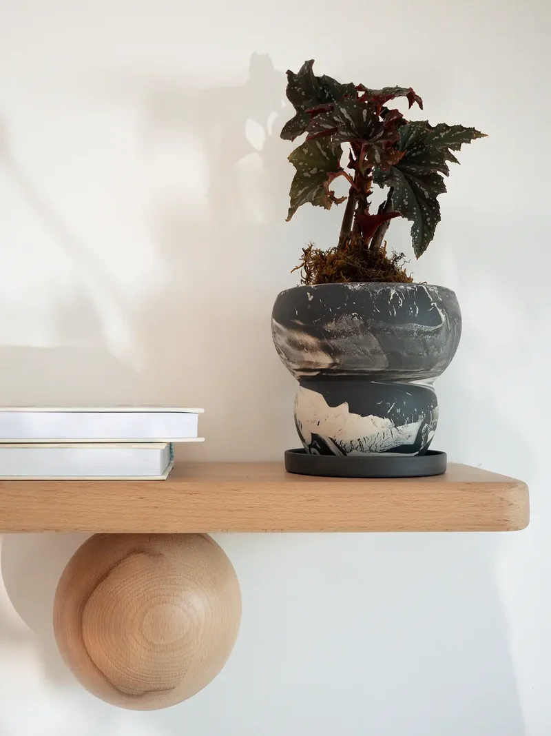 Eclipse Ceramic Planter