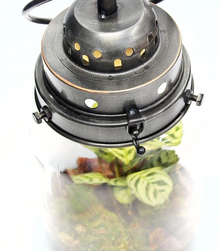 Lanterna terrarium con led