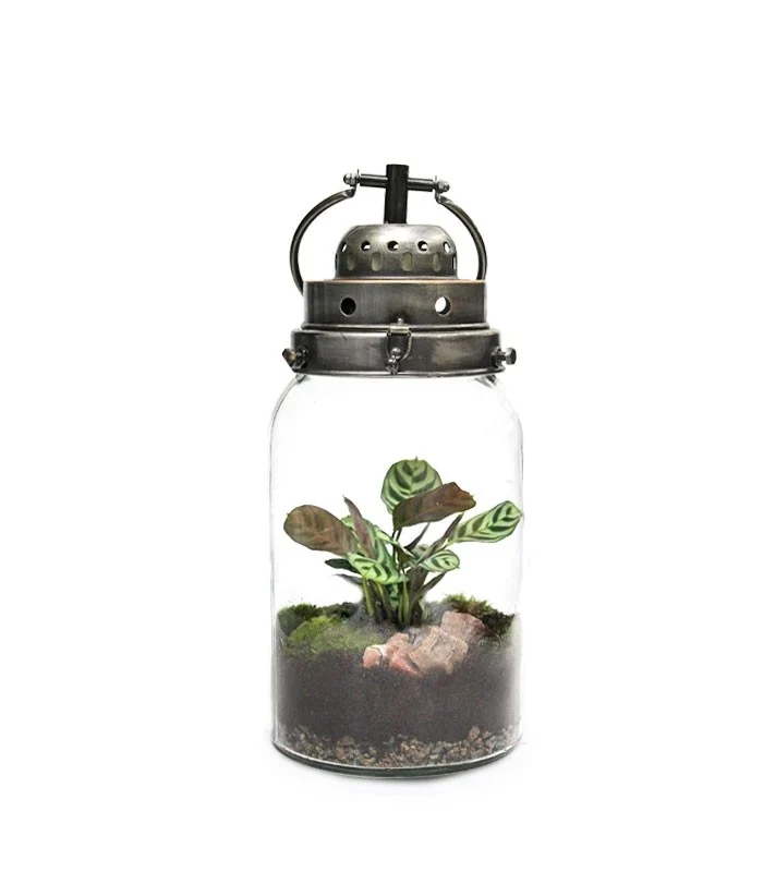 Lanterna terrarium con led