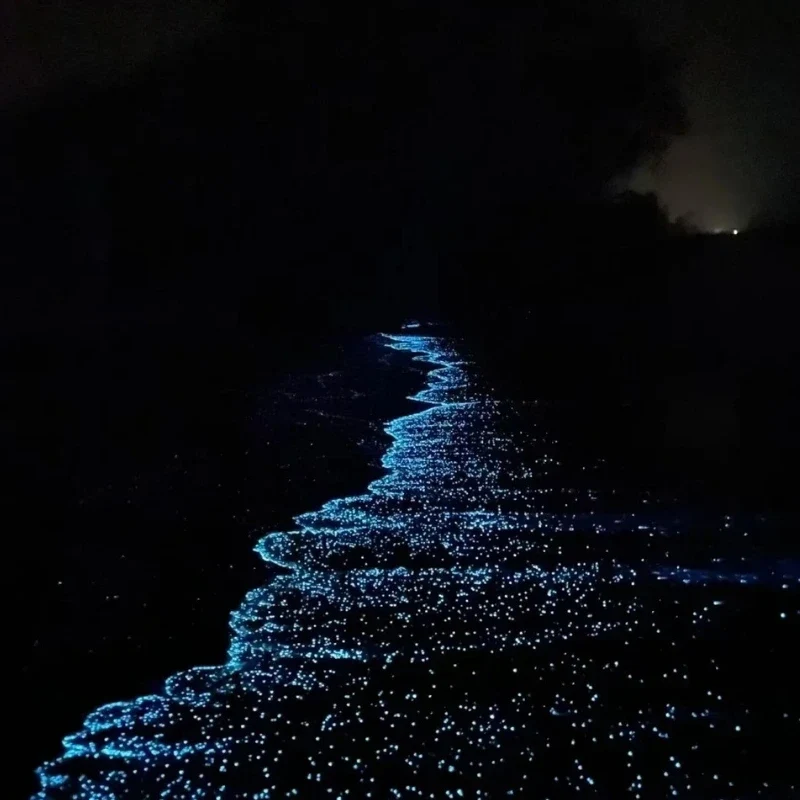 GlowPebbles™ Luminous Stones