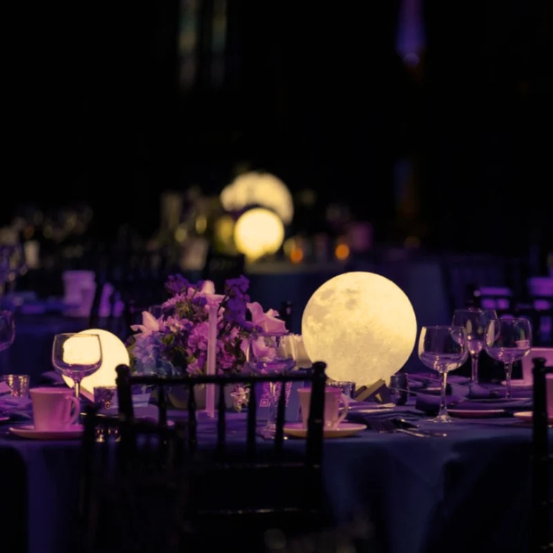 Selene™ Moon Garden Light