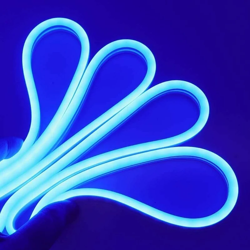 GBC Striscia LED al neon, striscia led 5 metri, colore blu per interno ed esterno IP67, separabile ogni metro, striscia led flessibile