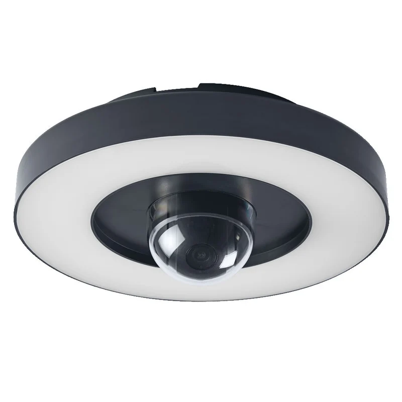 OSRAM SMART+ Lampada da parete e da soffitto per esterni + telecamera, grigia