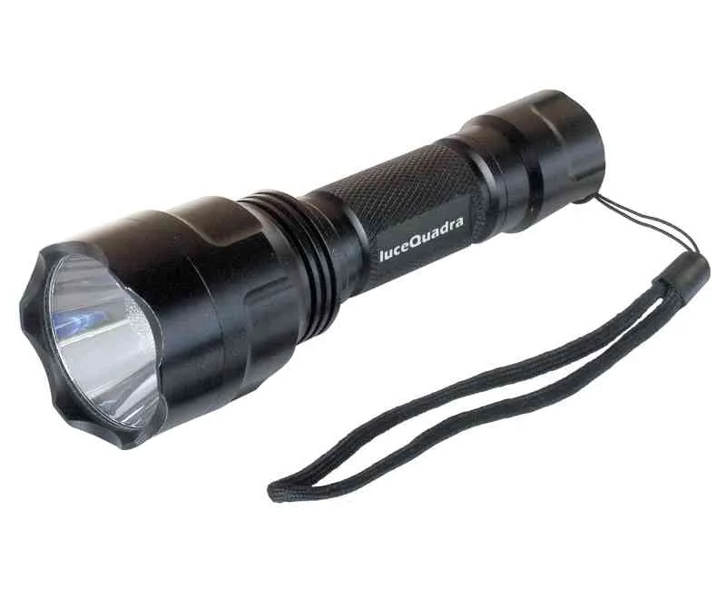 Torcia LED Ricaricabile CFG Rex 10W IP65 900lm – EL018