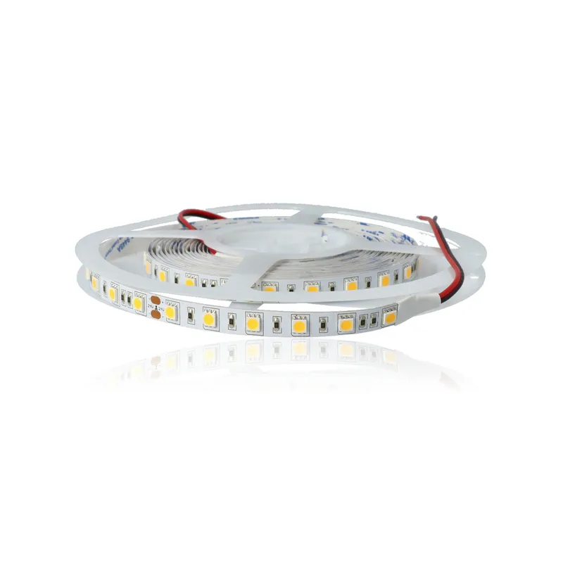 Striscia LED 14,5W, 24Vdc, Luce Calda, 5mt