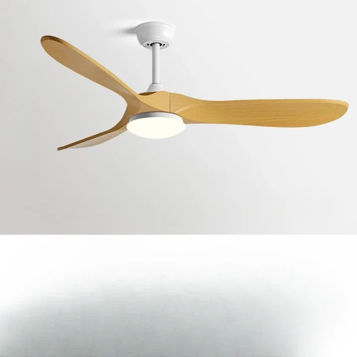 Luminaire Ventilateur de plafond / CASTI