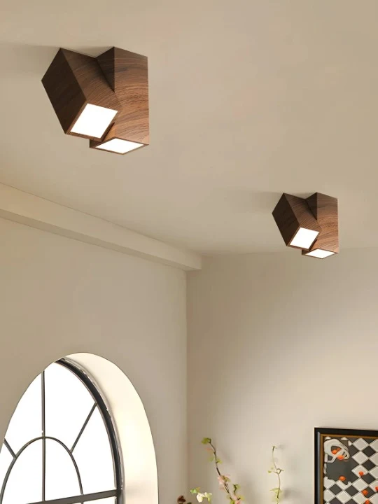 Luminaire Plafonnier / LACIP