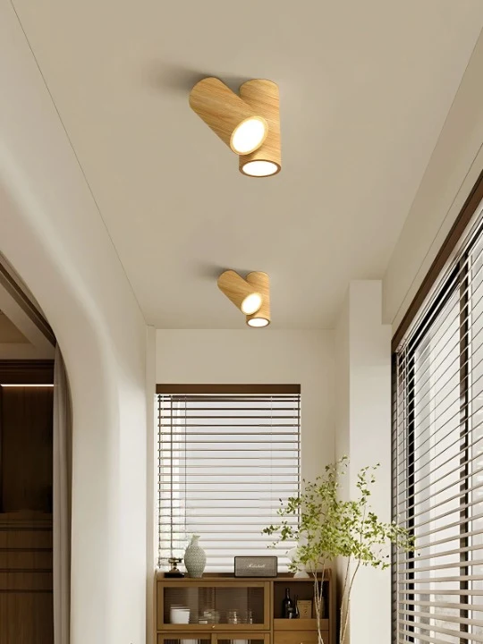 Luminaire Plafonnier / LACIP