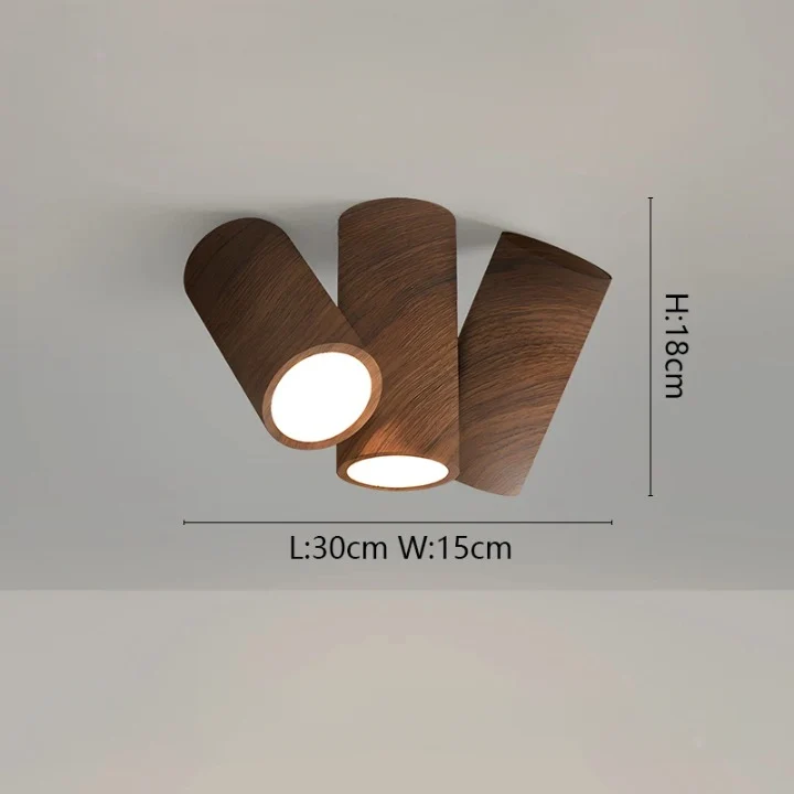 Luminaire Plafonnier / LACIP