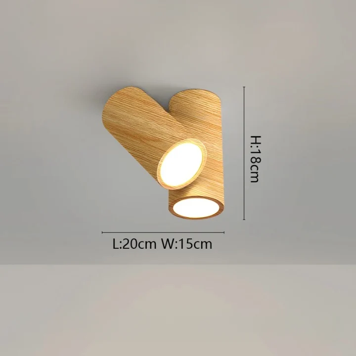 Luminaire Plafonnier / LACIP