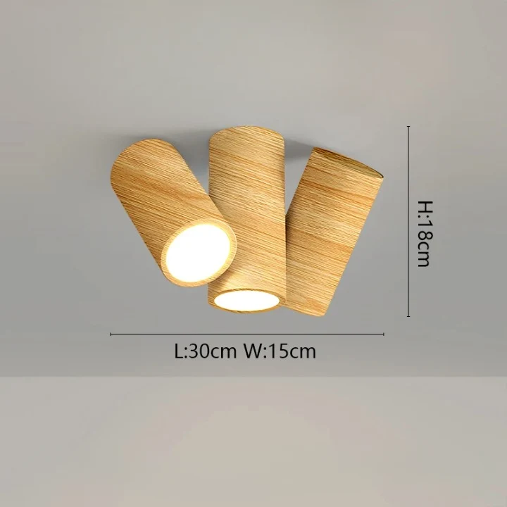 Luminaire Plafonnier / LACIP
