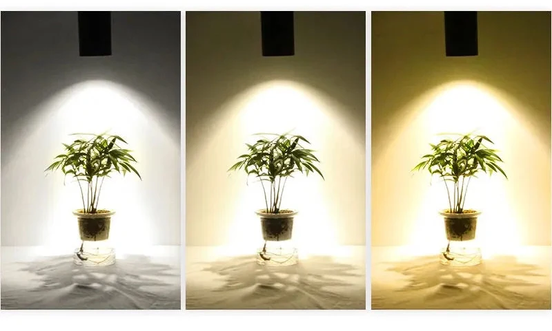 Luminaire Spot / CHLORE