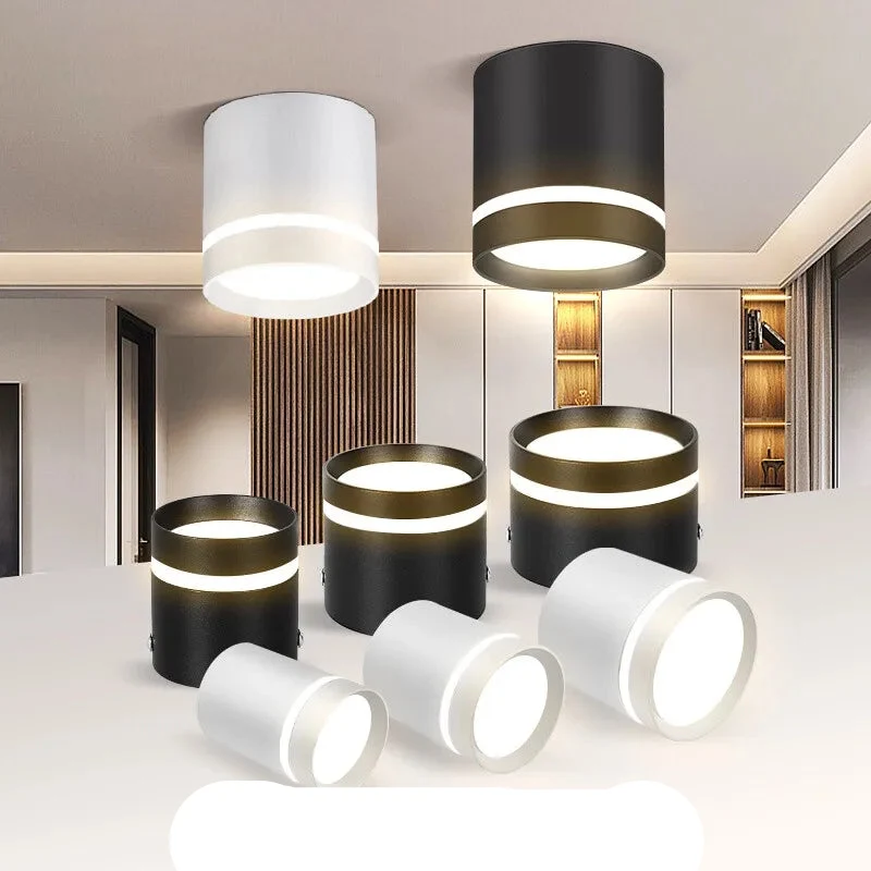 Luminaire Spot / SURTOUT