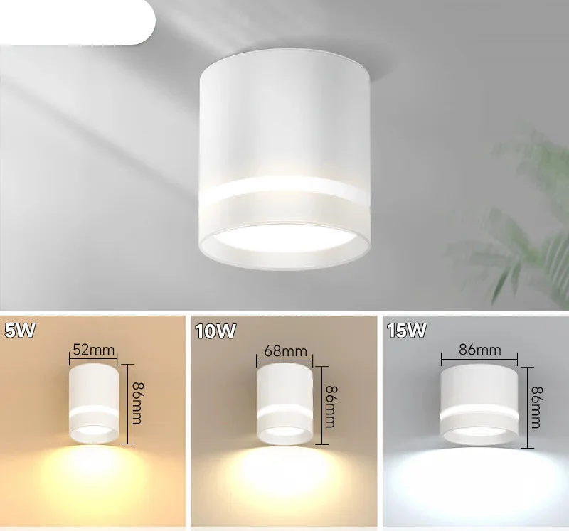 Luminaire Spot / SURTOUT