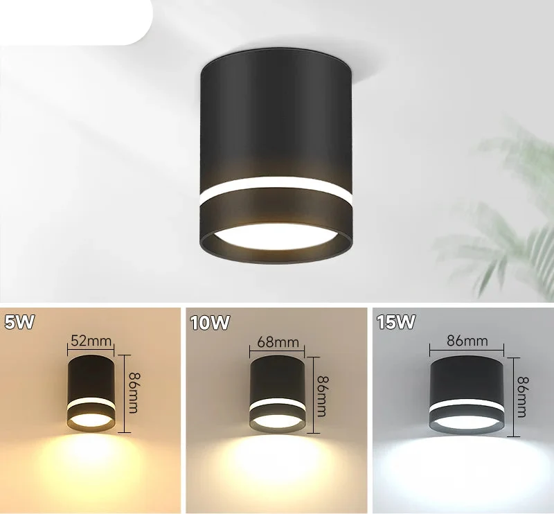 Luminaire Spot / SURTOUT