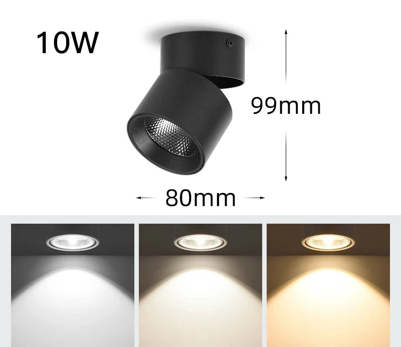 Luminaire Spot / LAPIXE